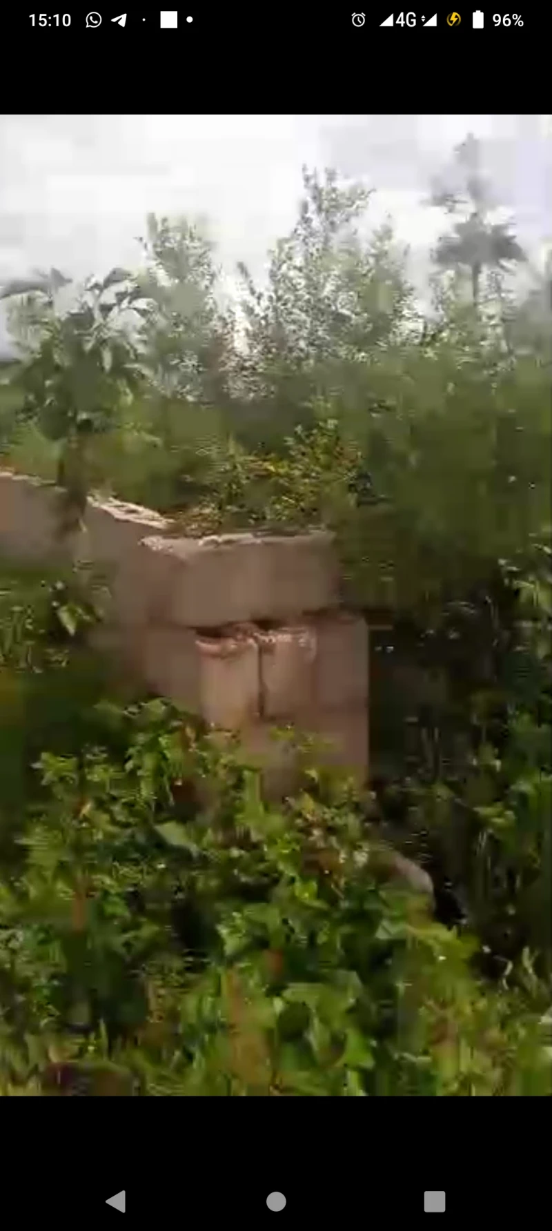 Land for Sale in Issele Azagba, Delta cover picture