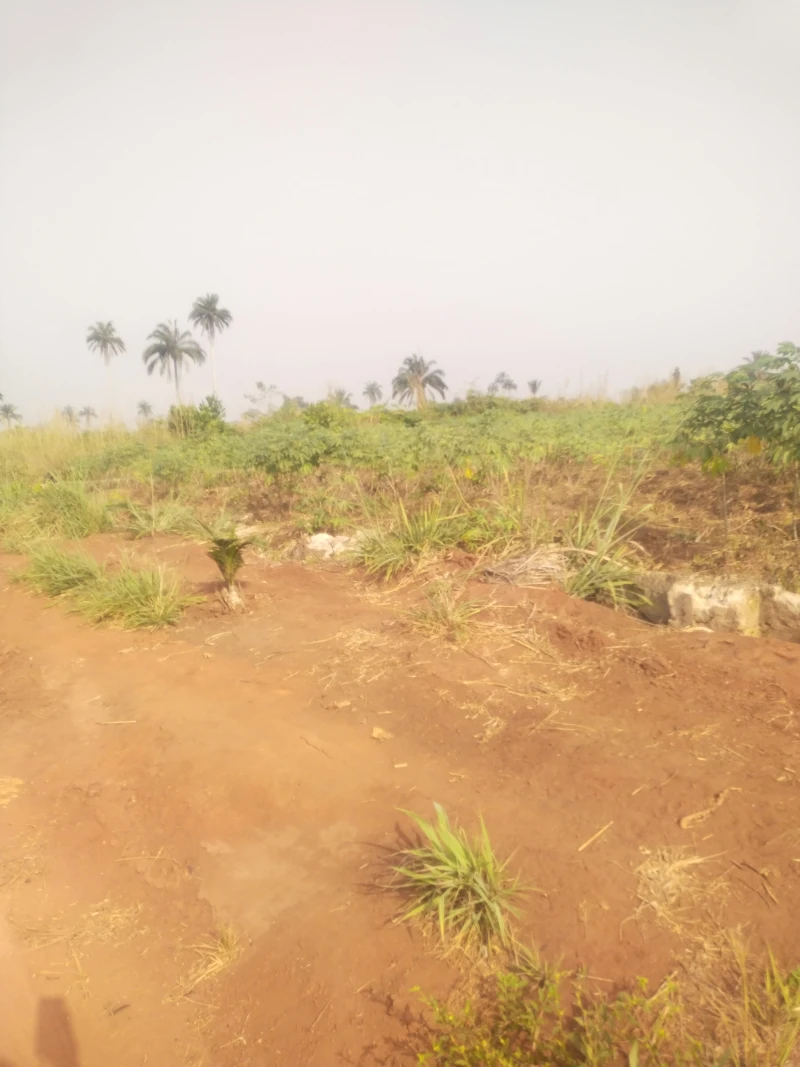 Land for Sale in Ibusa Road, Delta