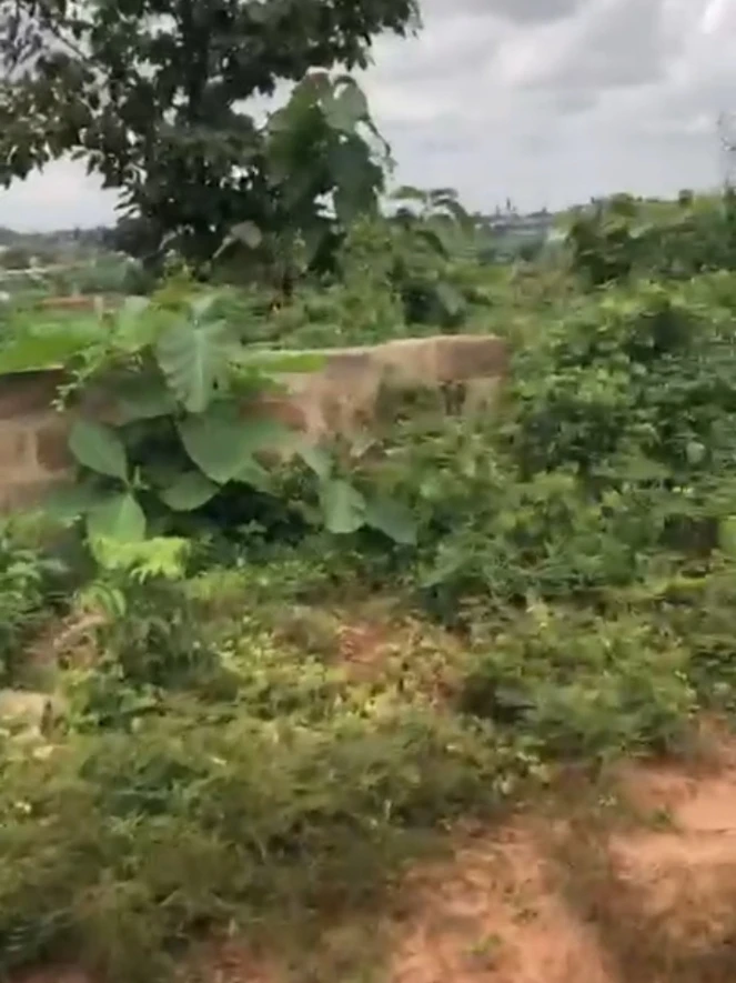 Land for Sale in Across okpanam city gate, Delta - Image 1