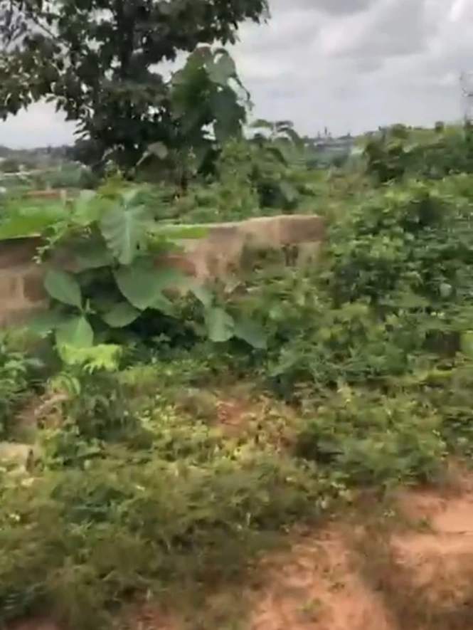 Land for Sale in Across okpanam city gate, Delta - Image 2