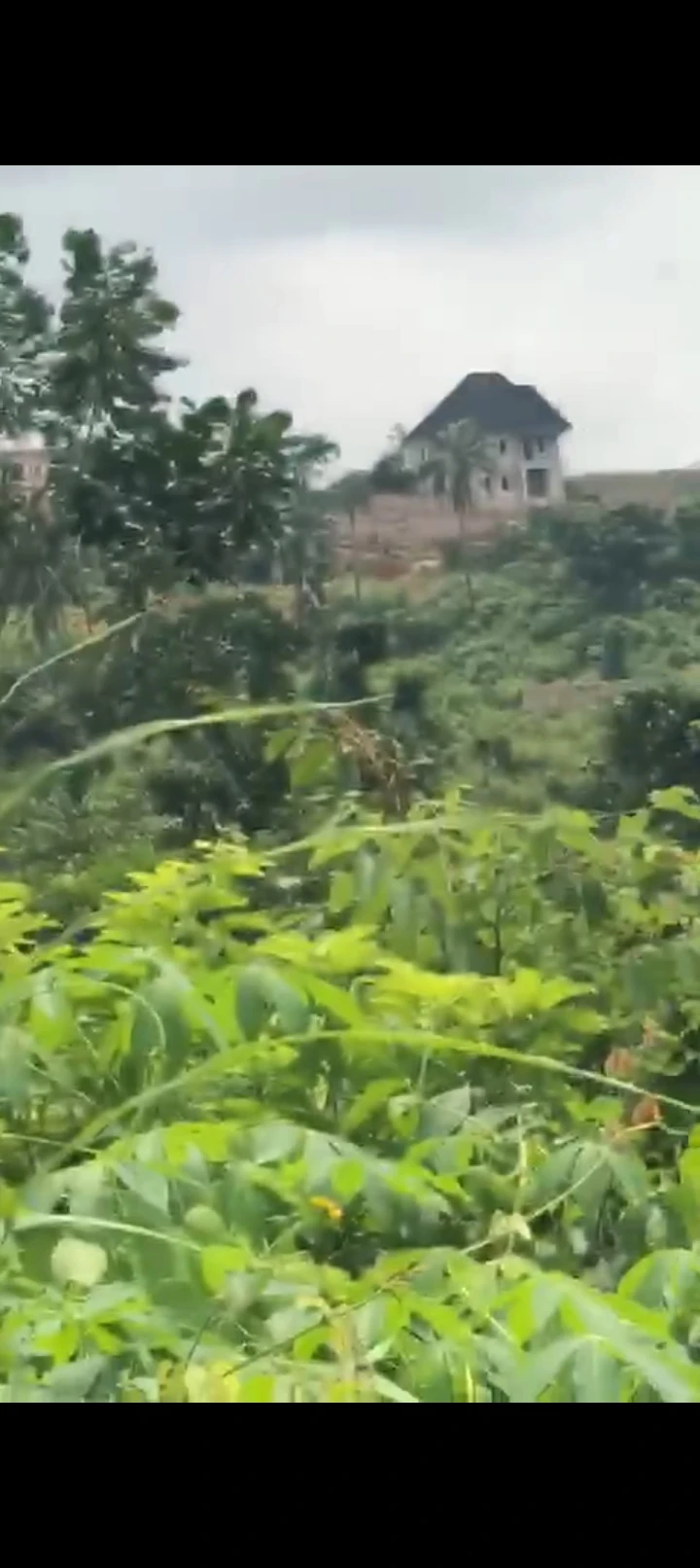 Land for Sale in Across  okpanam, Delta - Image 1