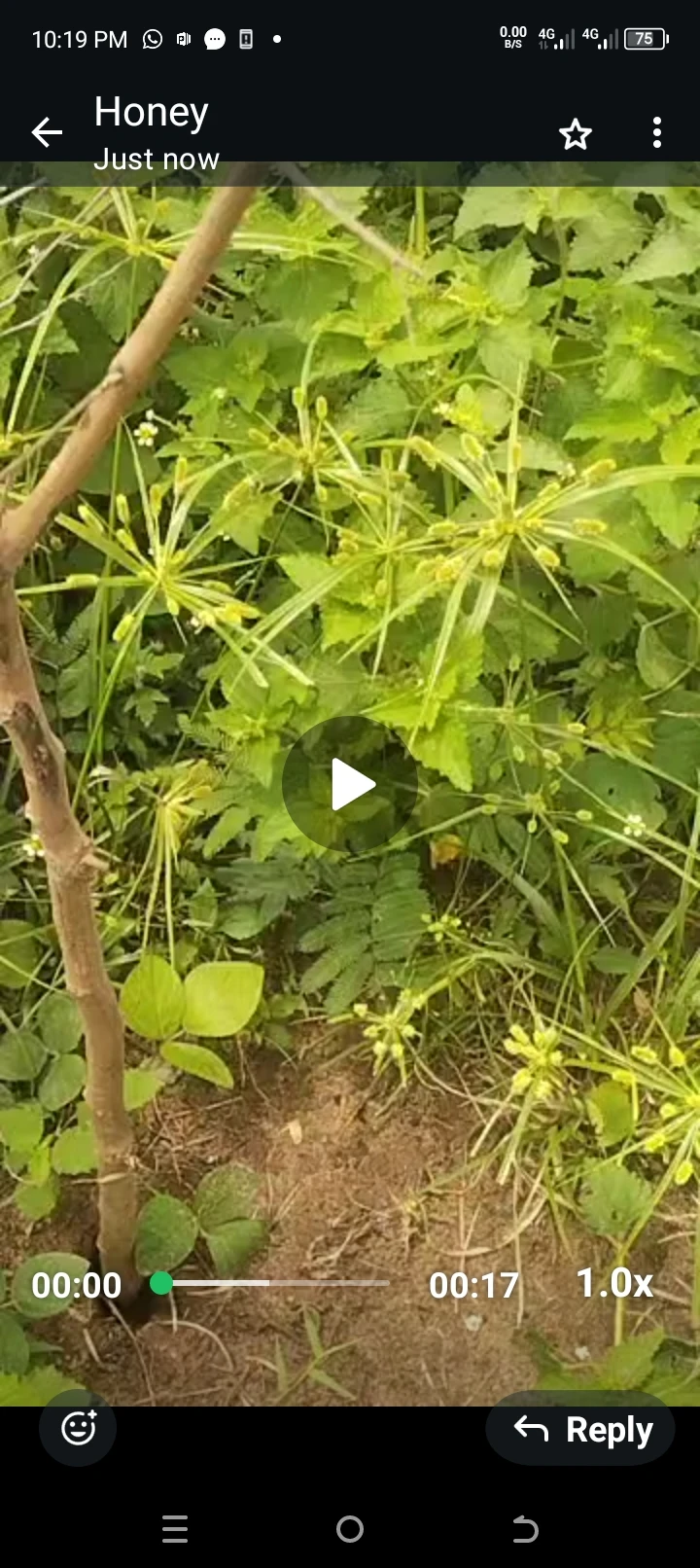 Land for Sale in Anwai road...50 by 100 with survey plan, Delta - Image 3