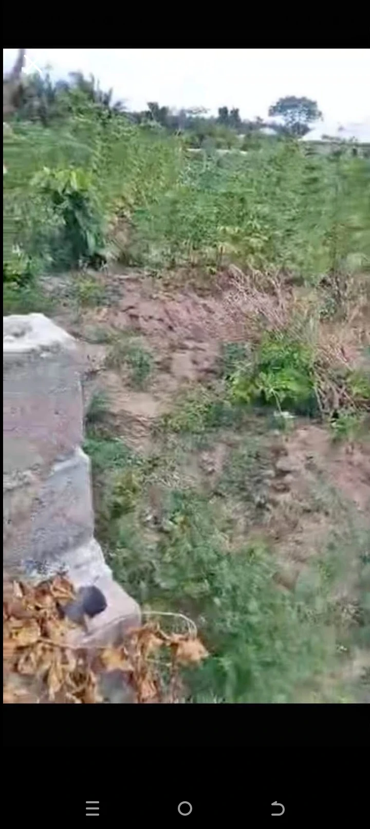 Land for Sale in Ikorudu...a full plots of land..table dry land, can also be used for commercial purposes  with 3 bedroom foundation on it..document receipt and family papers, Lagos - Image 2