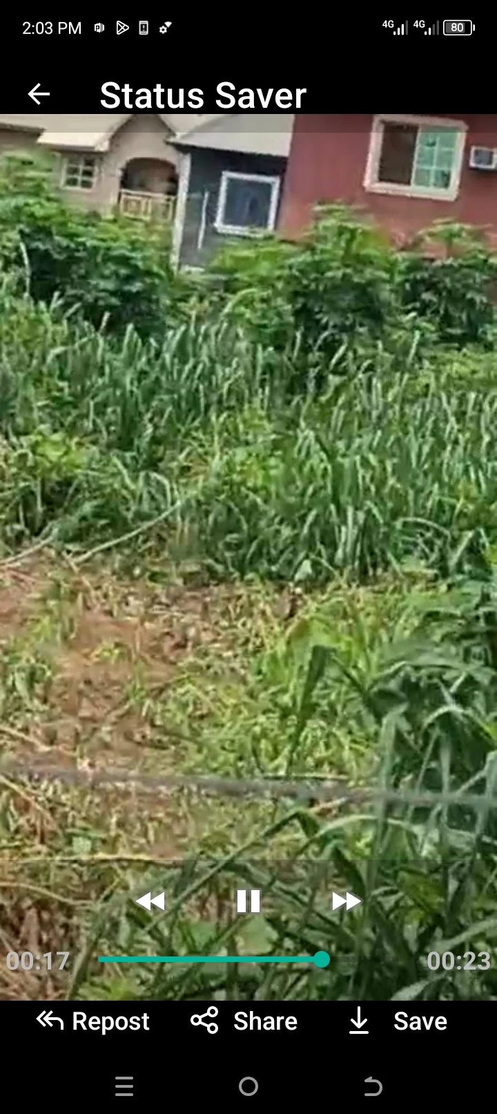 Land for Sale in Ibusa road 100 by  200, Delta - Image 2