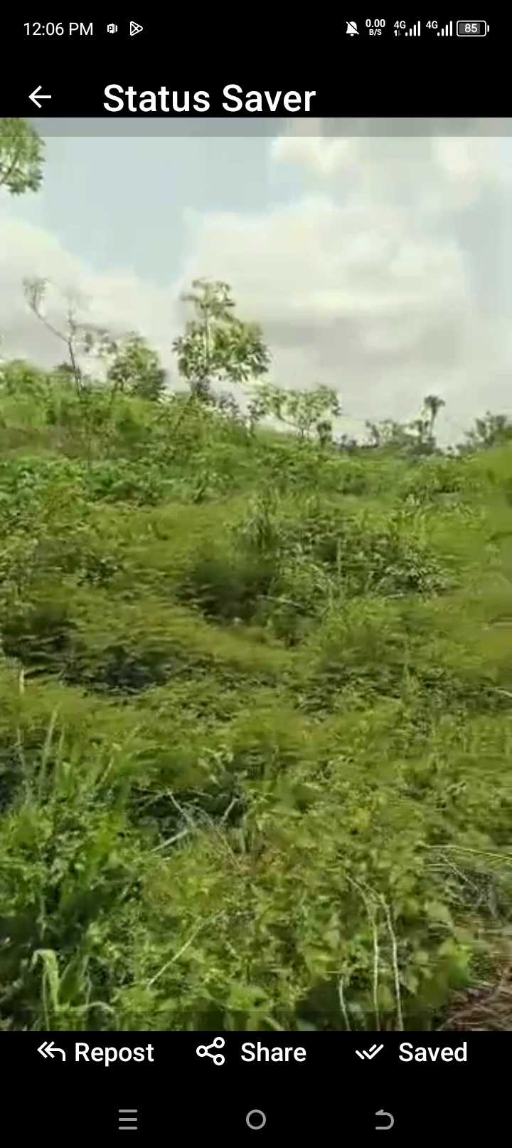 Land for Sale in Ogbe Ojie in okpanam ...10O by 100, Delta - Image 1