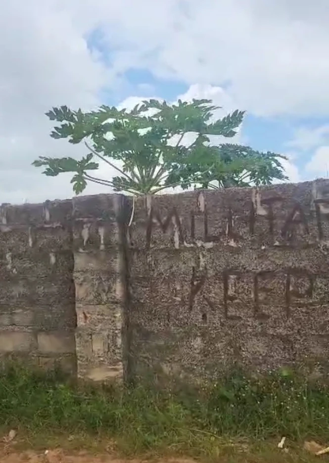 Land for Sale in Off ulo, Delta - Image 2