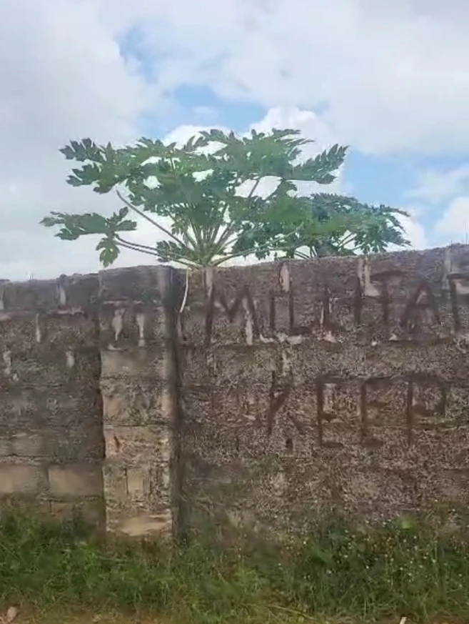 Land for Sale in Off ulo, Delta - Image 1