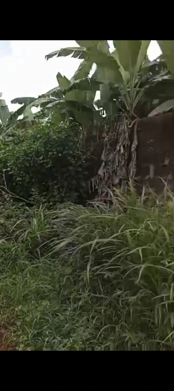Land for Sale in By bonsac ukwuorji, Delta - Image 1