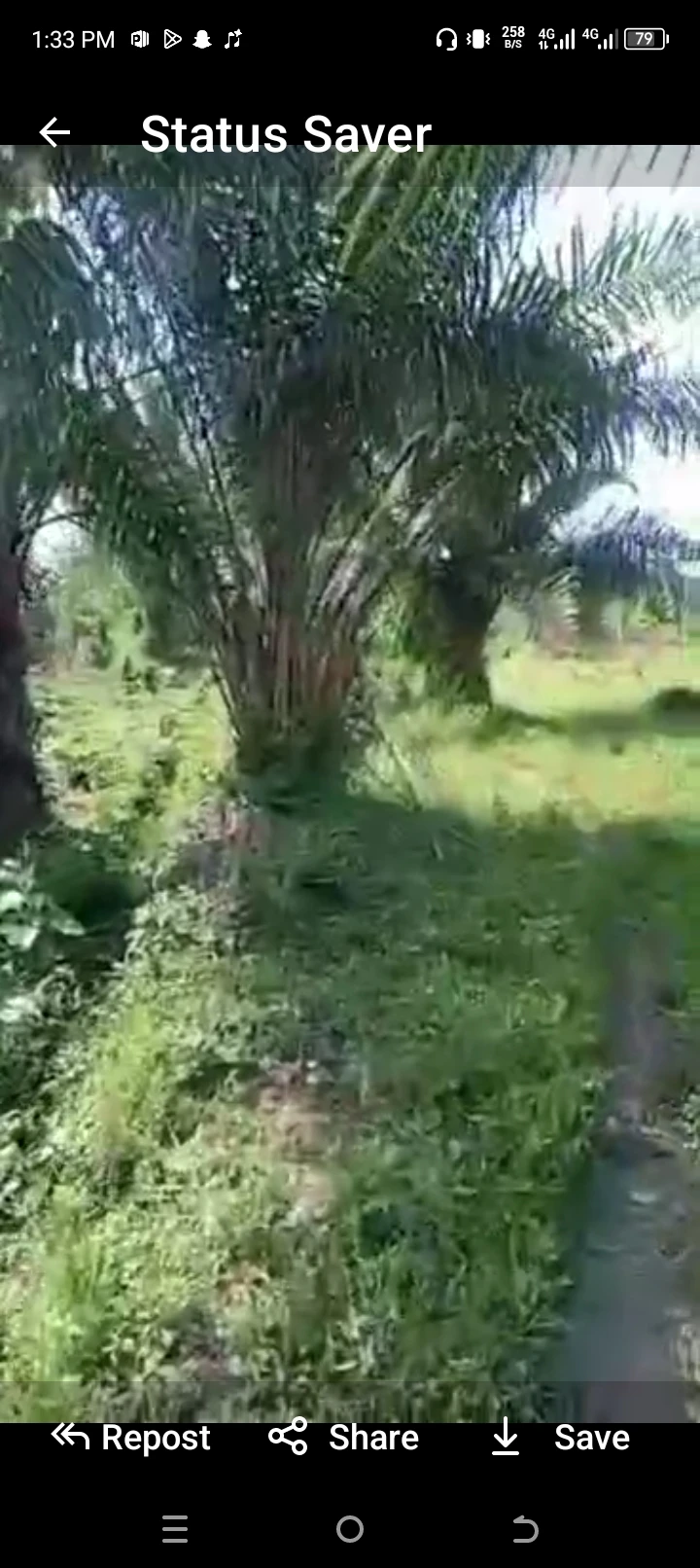 Land for Sale in Off achalla ibusa  before okowa farm, Delta - Image 1