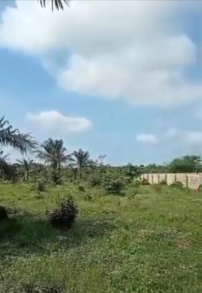 Land for Sale in Off achalla ibusa  before okowa farm, Delta - Image 2