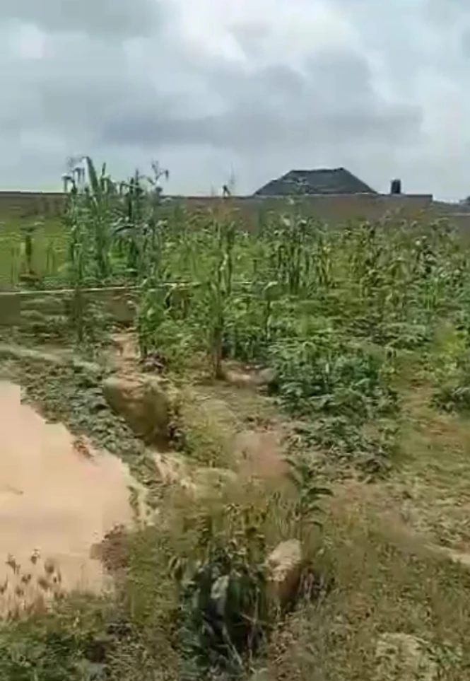 Land for Sale in Achalla ibusa, Delta - Image 2