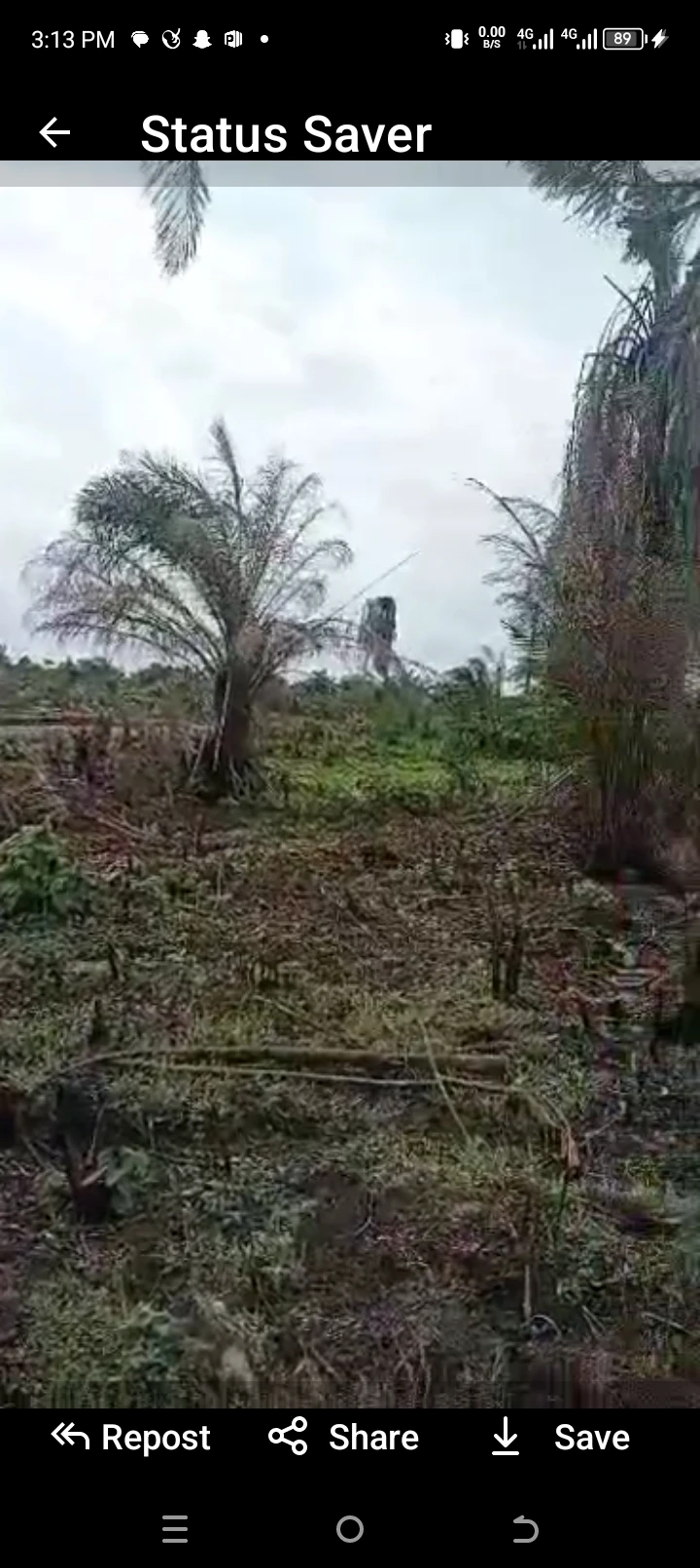 Land for Sale in Achalla ibusa, Delta - Image 1