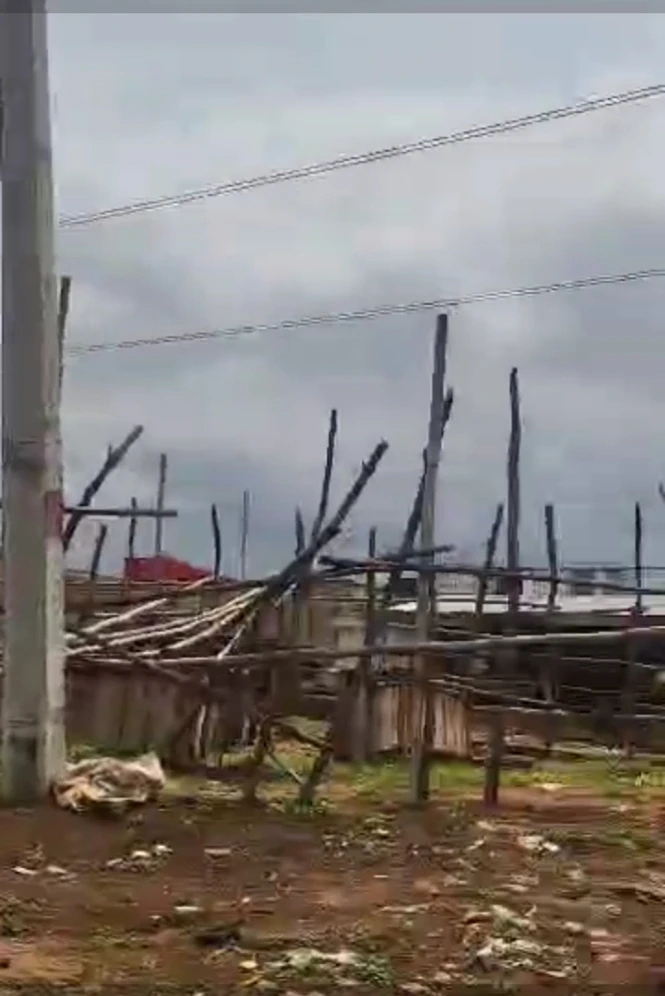 Land for Sale in Governance villa by ibisa, Delta - Image 1