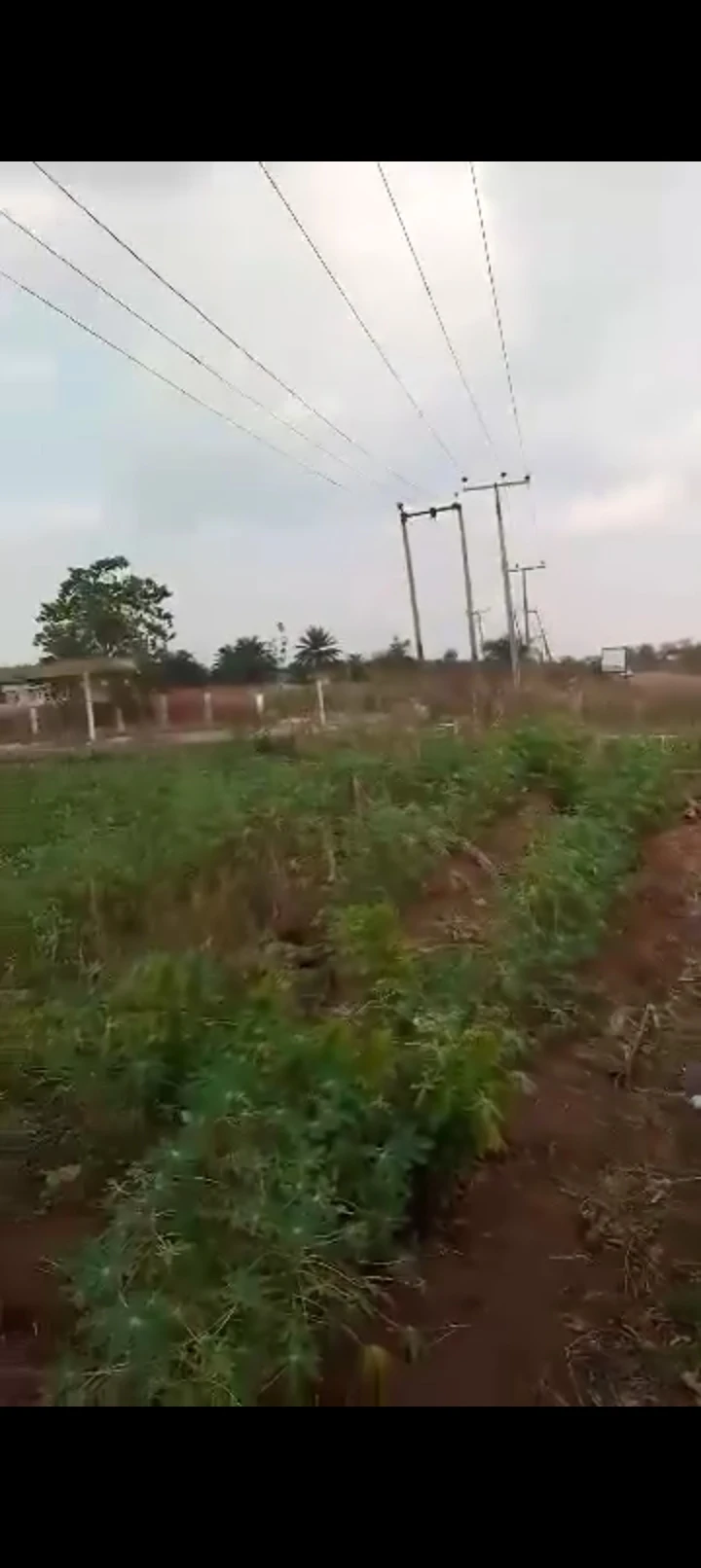 Land for Sale in Along  Asaba Benin express by issele Azangba, Delta - Image 1