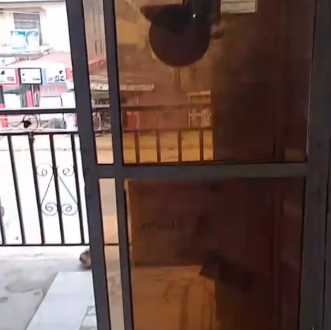 Store for Rent in Dla road upstairs, Delta cover picture