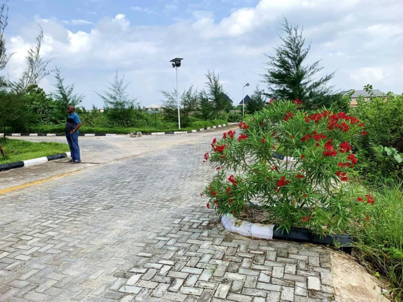 Land for Sale in Lekki, Lagos cover picture