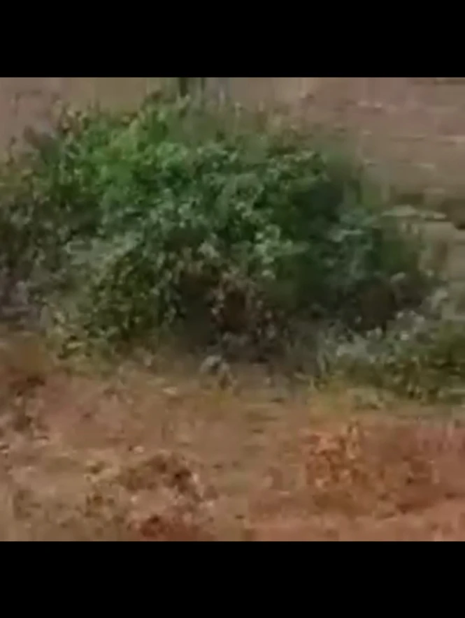 Land for Sale in Ibusa town, Delta cover picture