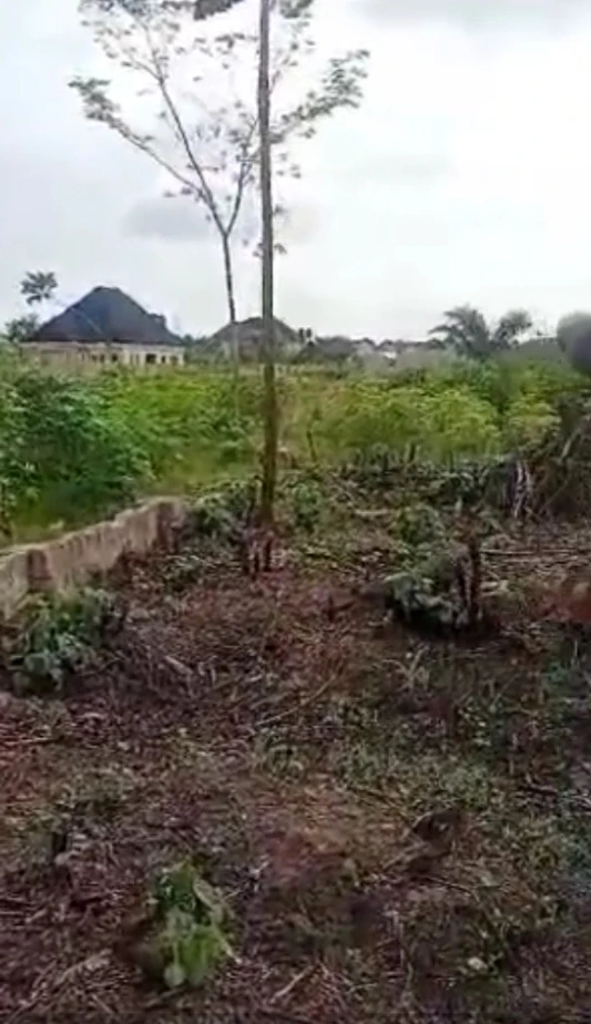 Land for Sale in Achalla ibusa, Delta cover picture
