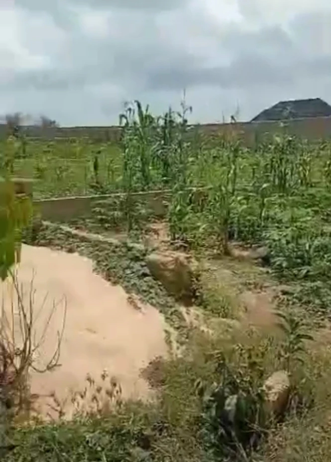 Land for Sale in Achalla ibusa, Delta cover picture