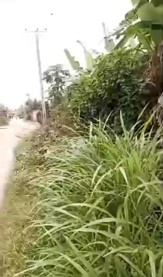 Land for Sale in By bonsac ukwuorji, Delta cover picture