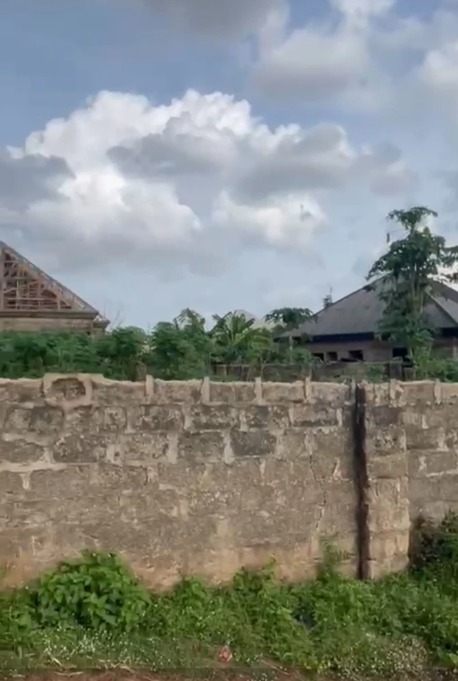 Land for Sale in Ogbeozuoma  by celestial church, Delta cover picture