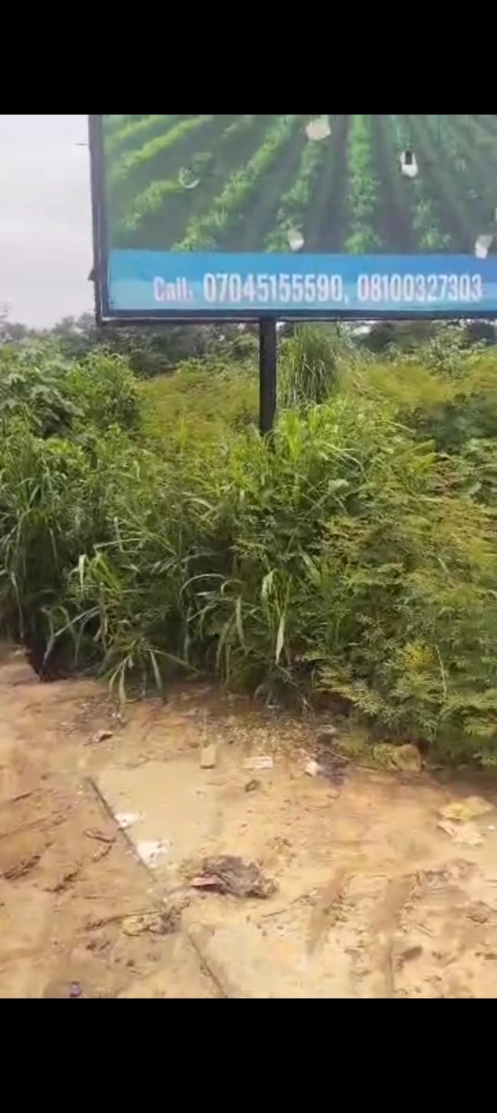 Land for Sale in Anwai road...50 by 100 with survey plan, Delta cover picture