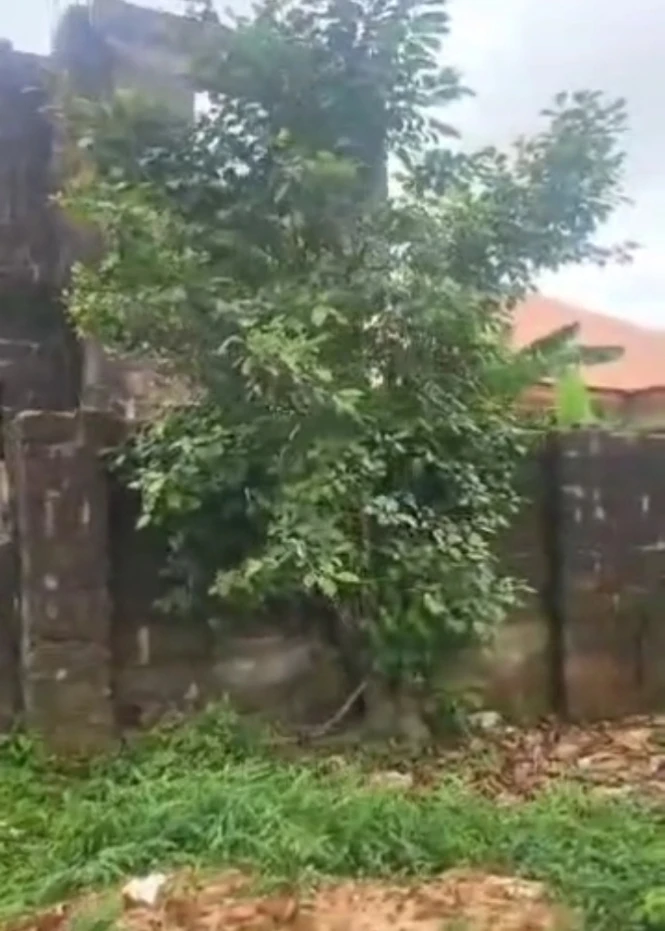 Land for Sale in Akpu junction road, Delta cover picture