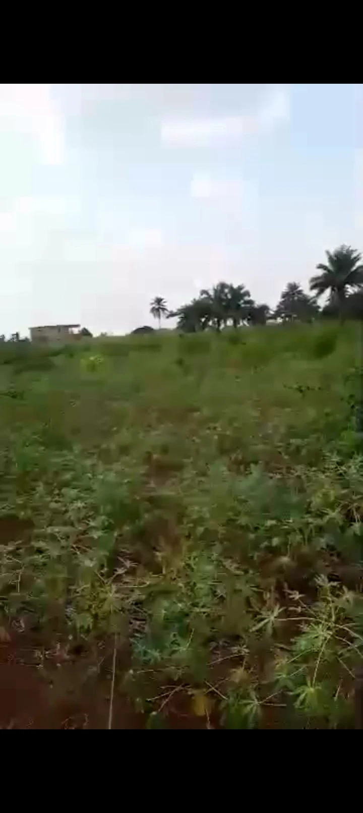 Land for Sale in Along  Asaba Benin express by issele Azangba, Delta cover picture