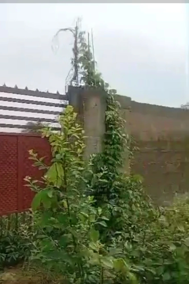 Land for Sale in Close to federal college gate, Delta cover picture