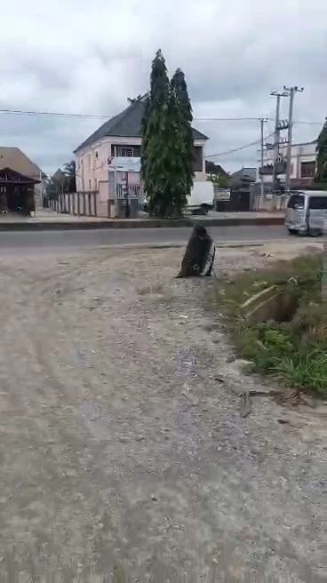 Land for Sale in NTA road, Rivers