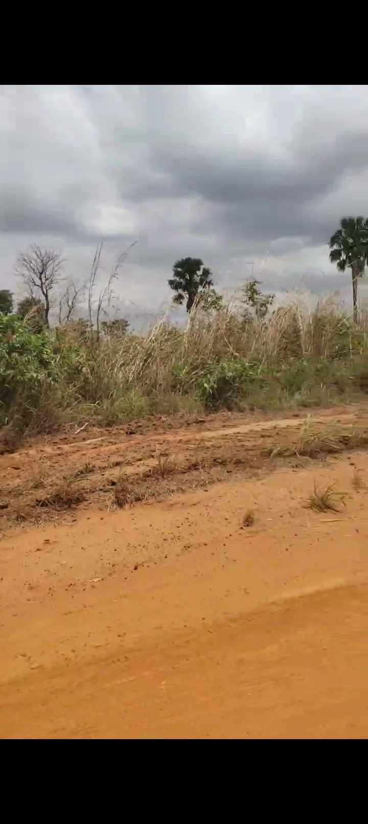 Land for Sale in Umueri, Anambra - Image 2
