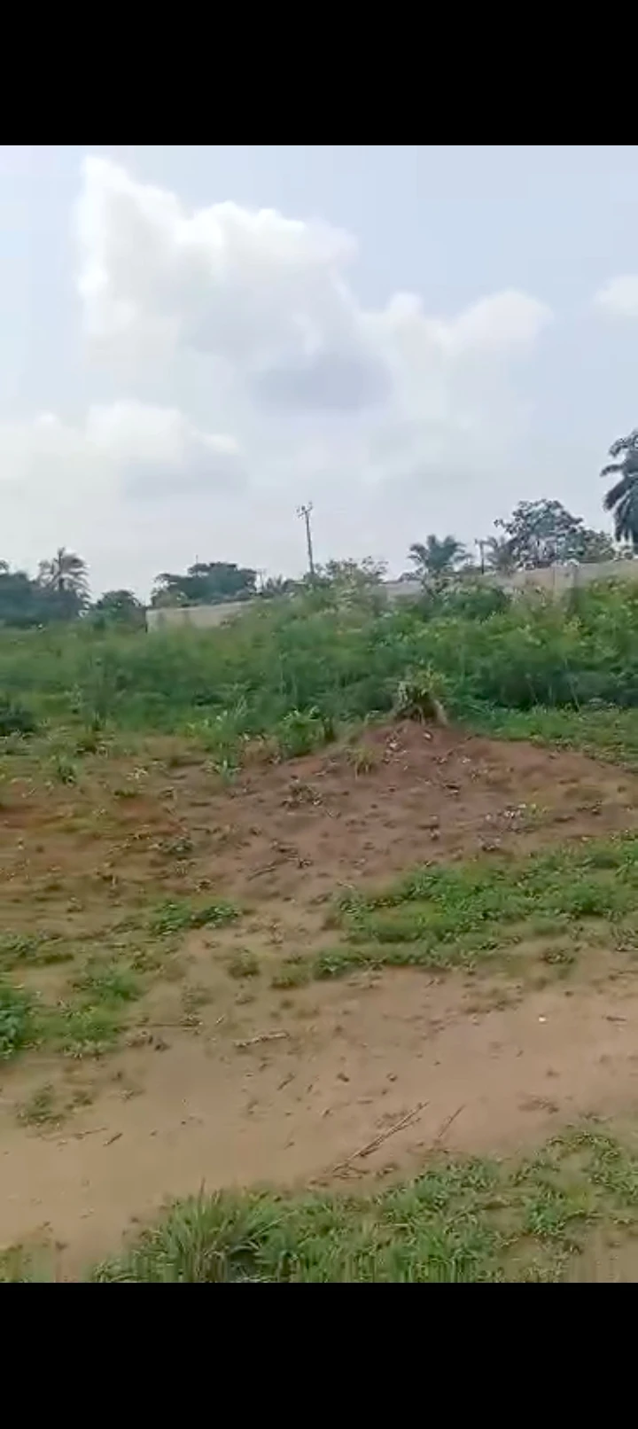 Land for Sale in Ogbaku, Imo - Image 1
