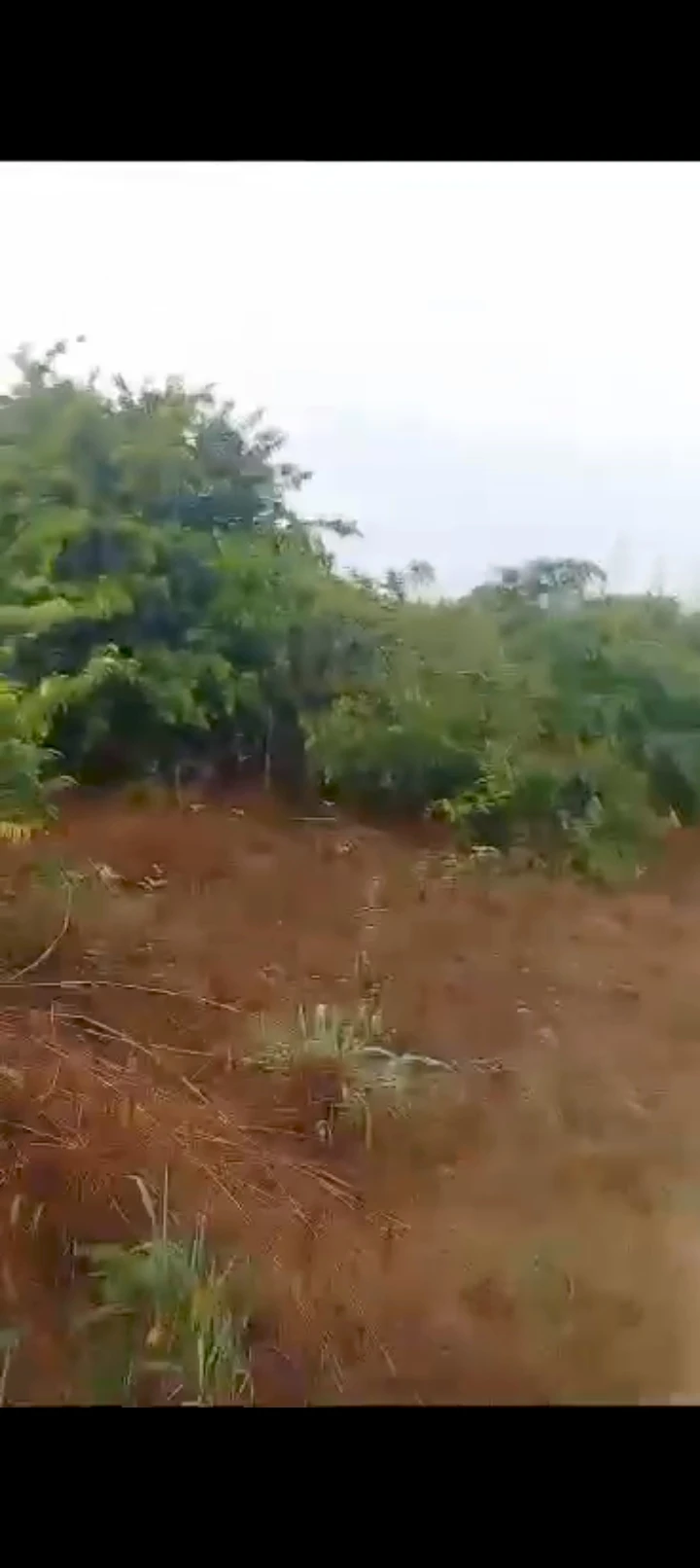 Land for Sale in Ogbaku, Imo - Image 2