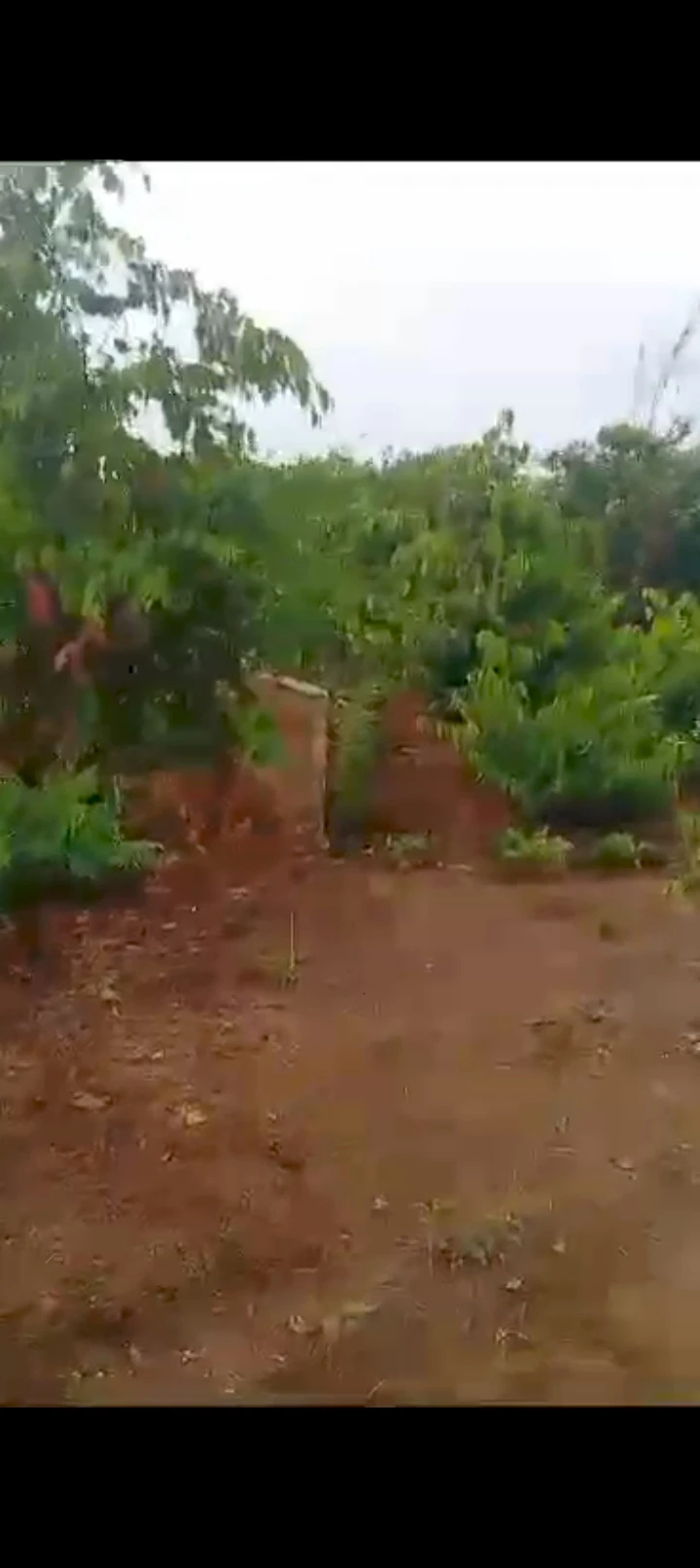 Land for Sale in Ogbaku, Imo - Image 1