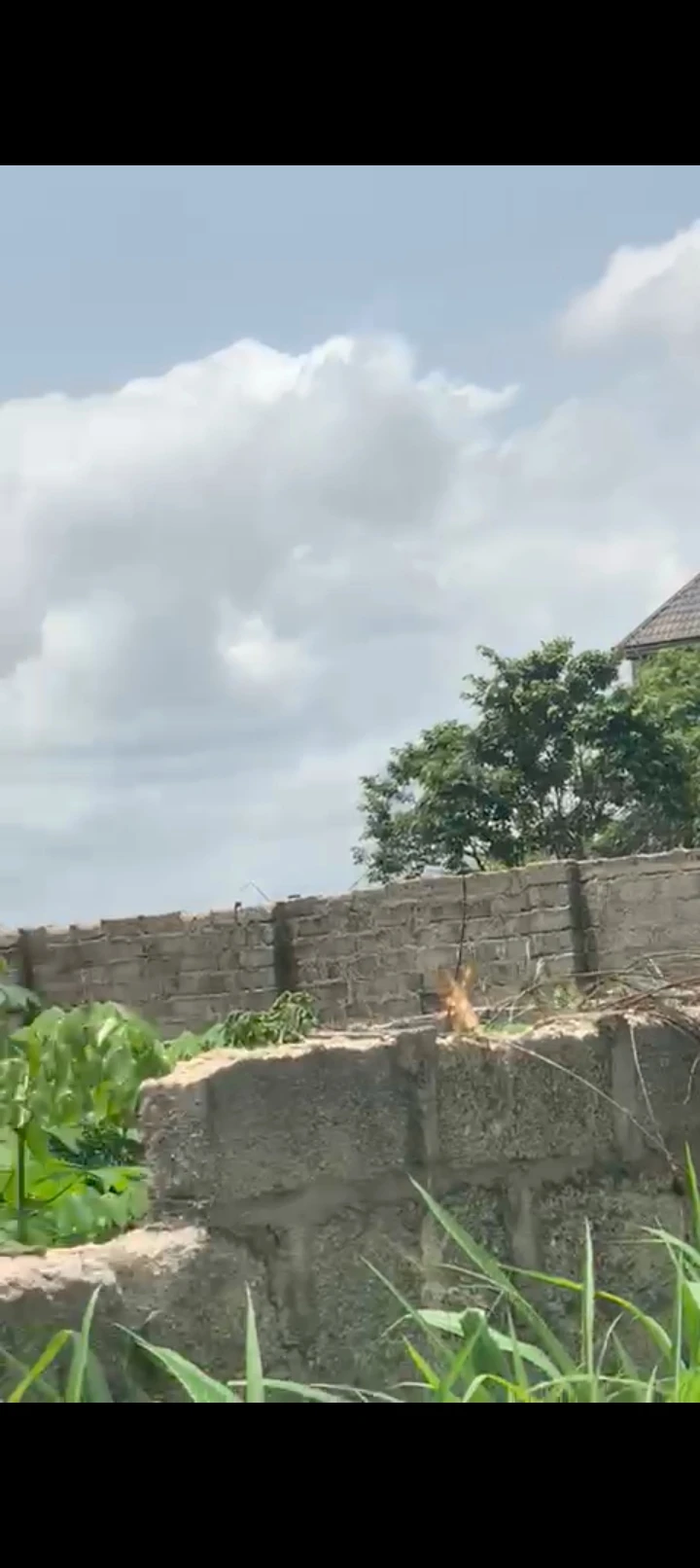 Land for Sale in Umuguma, Imo - Image 2