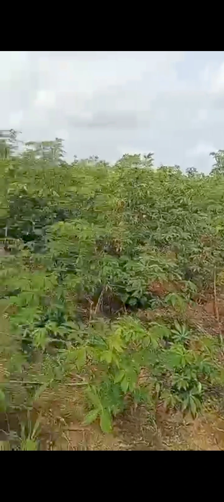 Land for Sale in Irete, Imo - Image 1