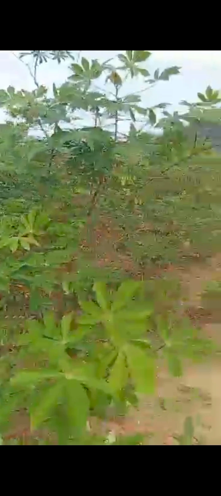 Land for Sale in Irete, Imo - Image 3