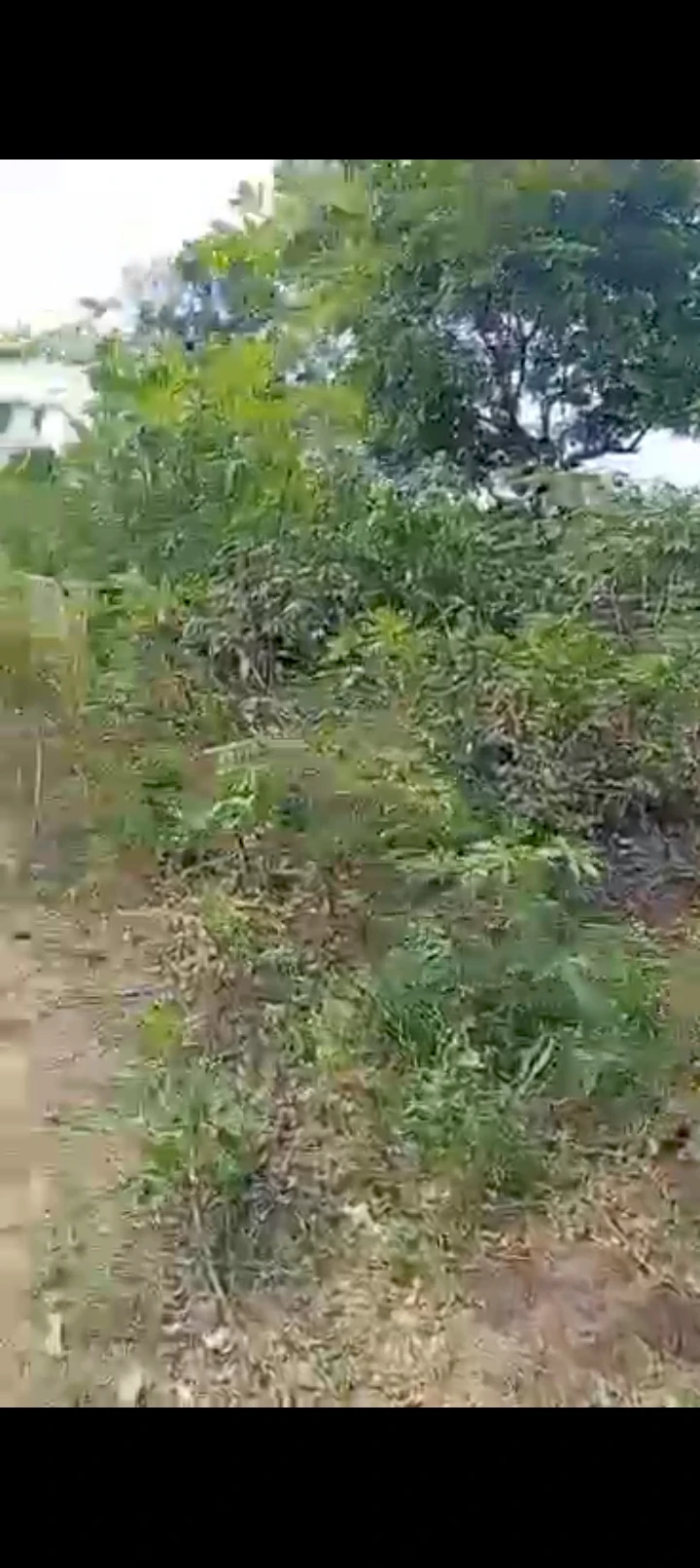 Land for Sale in Irete, Imo - Image 2