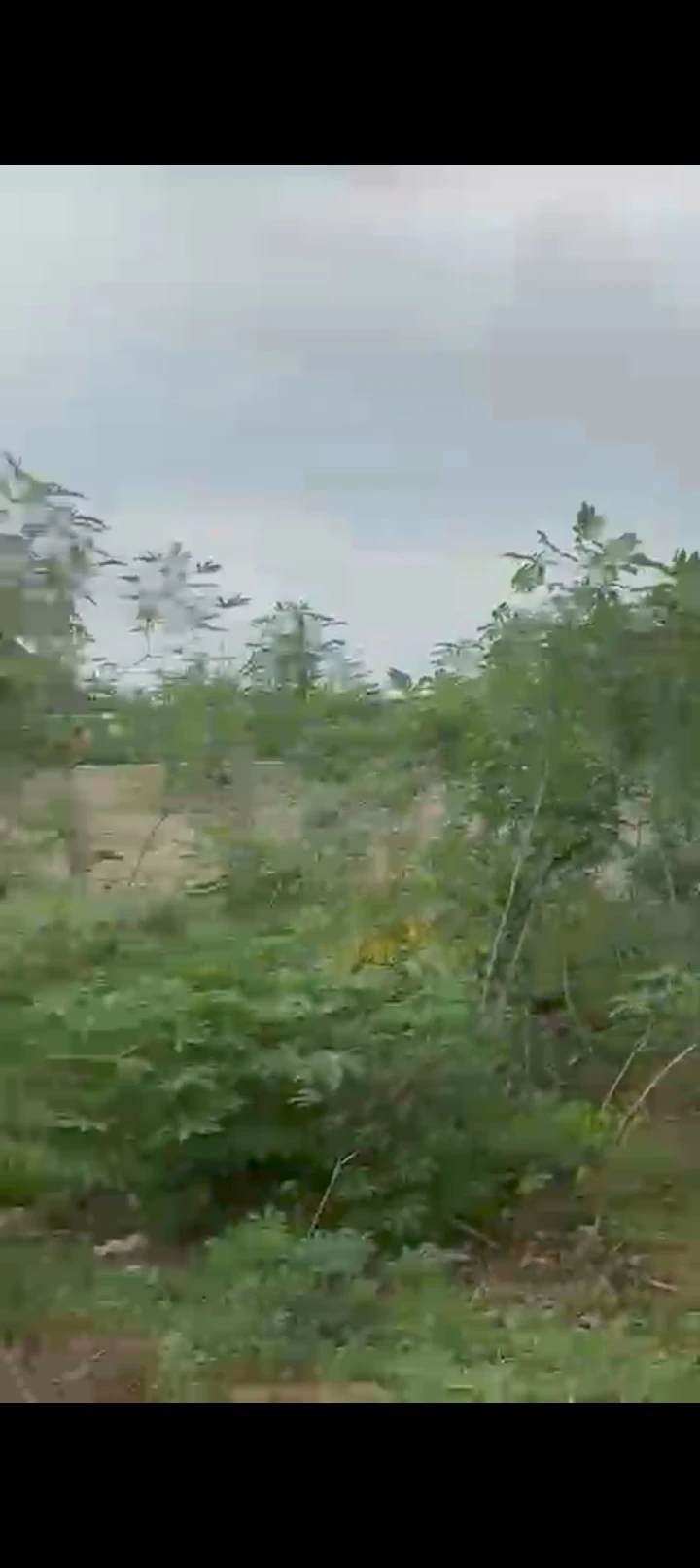 Land for Sale in Umuguma, Imo cover picture
