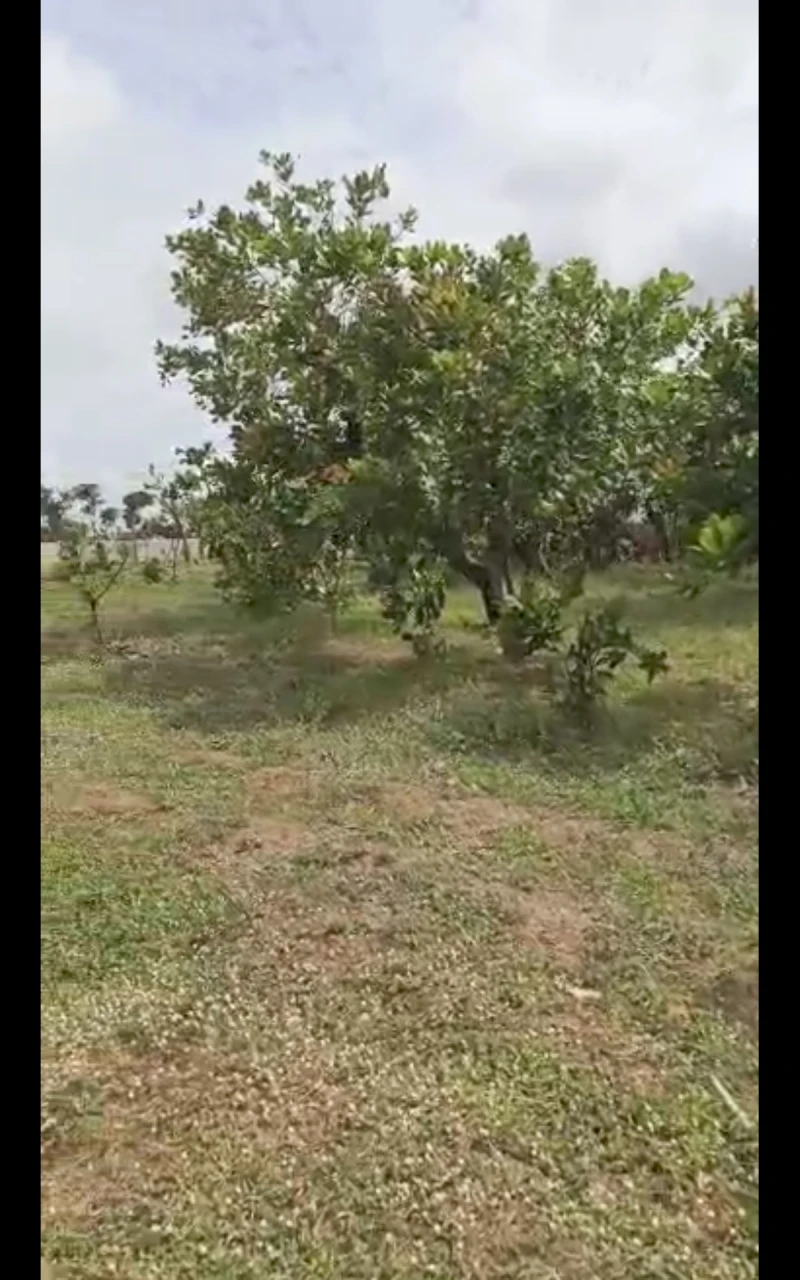 Land for Sale in Kuchiyako, kuje, Abuja, FCT - Image 6