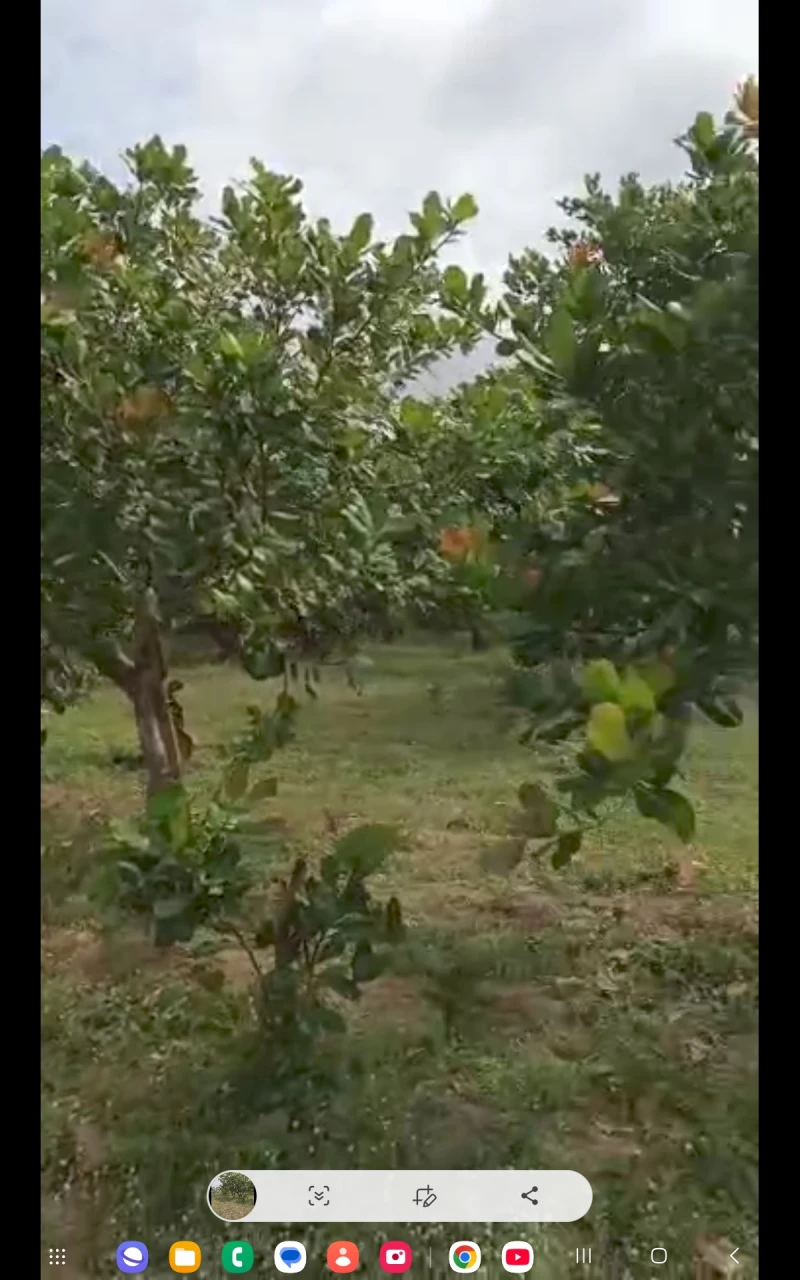 Land for Sale in Kuchiyako, kuje, Abuja, FCT - Image 5