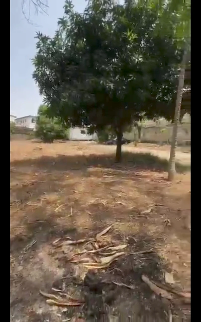Land for Sale in Asokoro main, FCT - Image 1