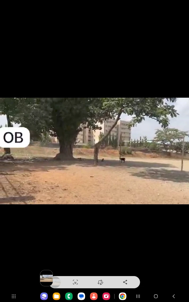 Land for Sale in Jabi, Abuja, FCT - Image 6