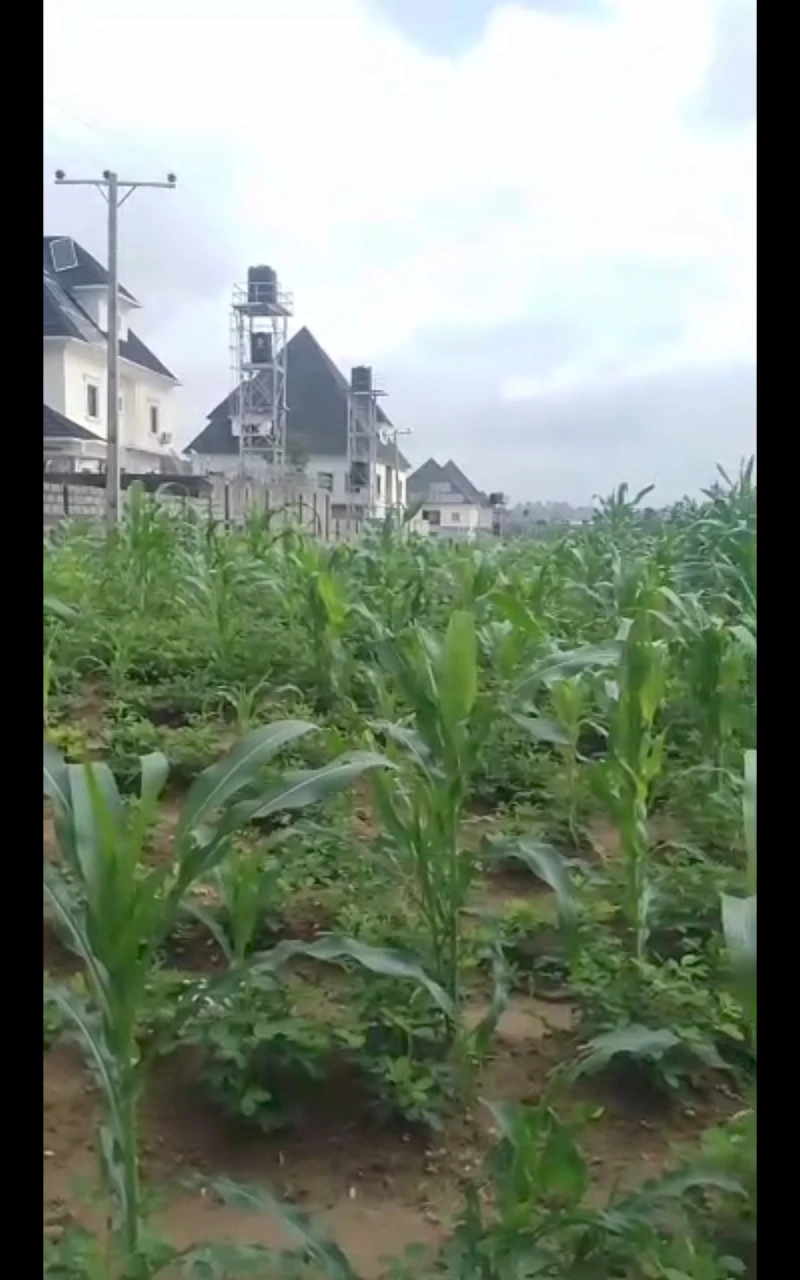 Land for Sale in Back of Piwoyi institution and research zone, Lugbe, FCT - Image 6