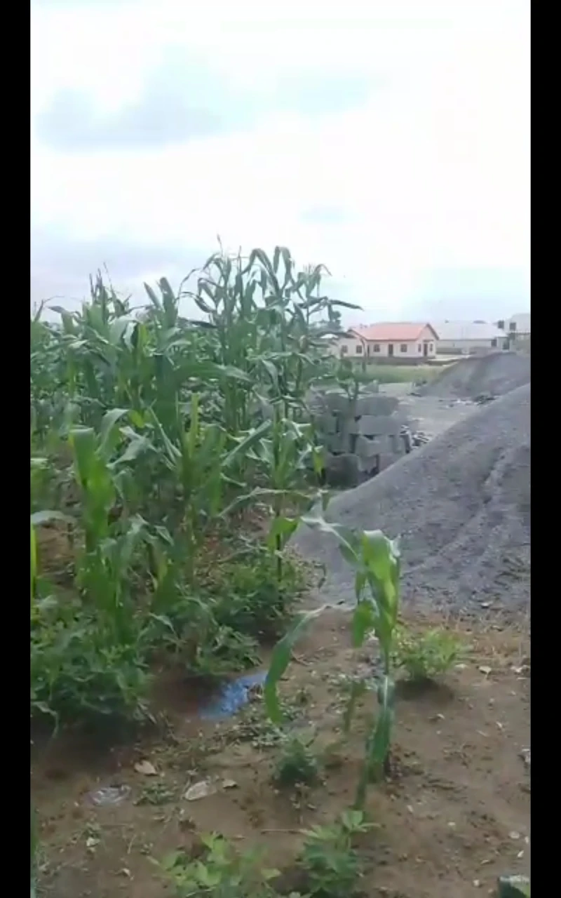 Land for Sale in Back of Piwoyi institution and research zone, Lugbe, FCT - Image 5