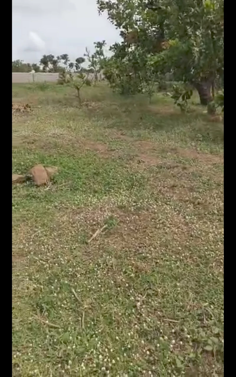 Land for Sale in Kuchiyako, kuje, Abuja, FCT cover picture