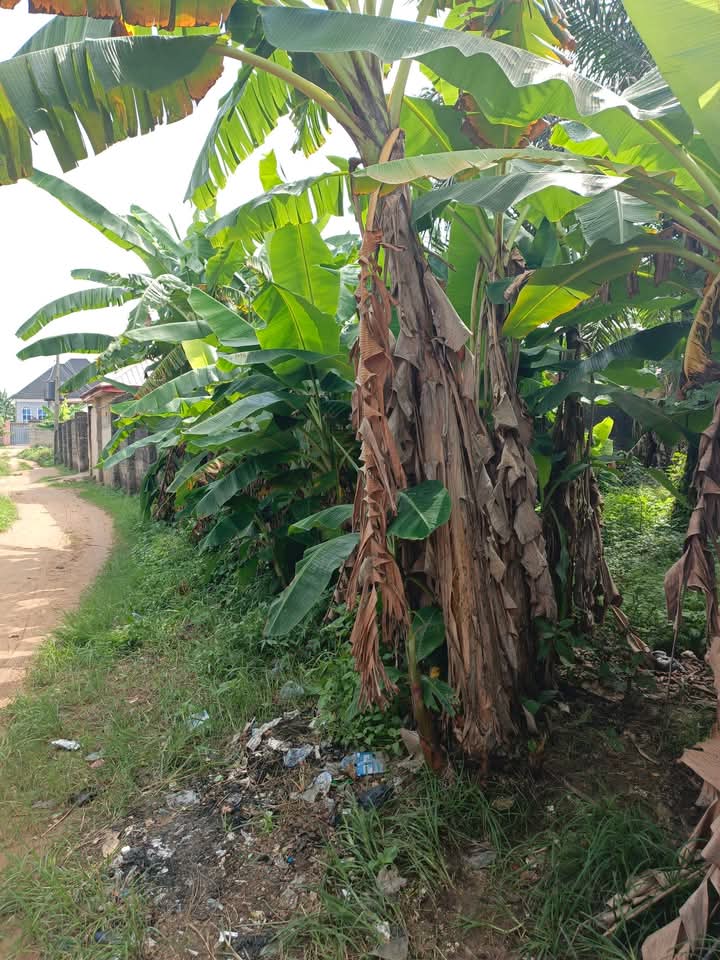 Land for Sale in Off Abak road ,opposite church of Christ .., Akwa Ibom - Image 1