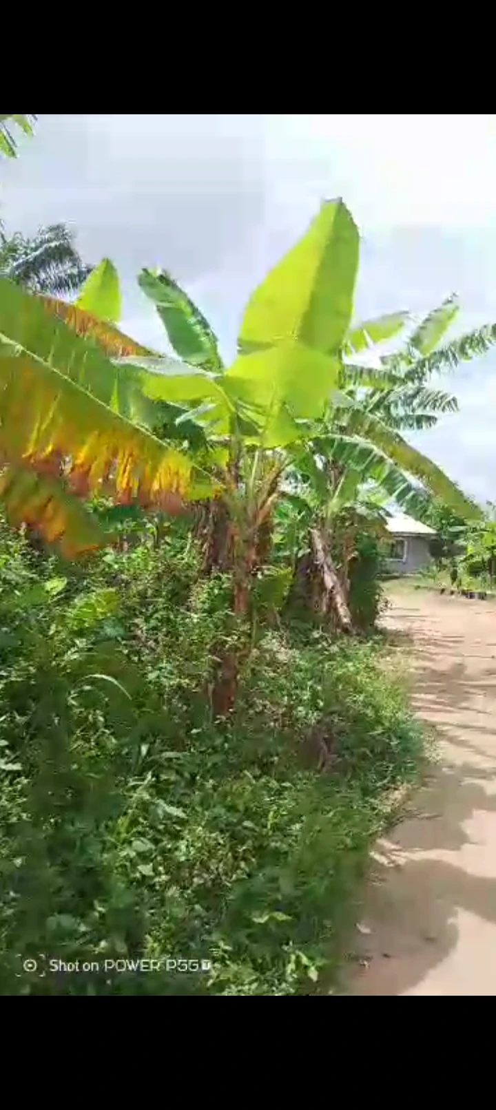 Land for Sale in Mbiaobong ,off Oron road, Akwa Ibom - Image 1