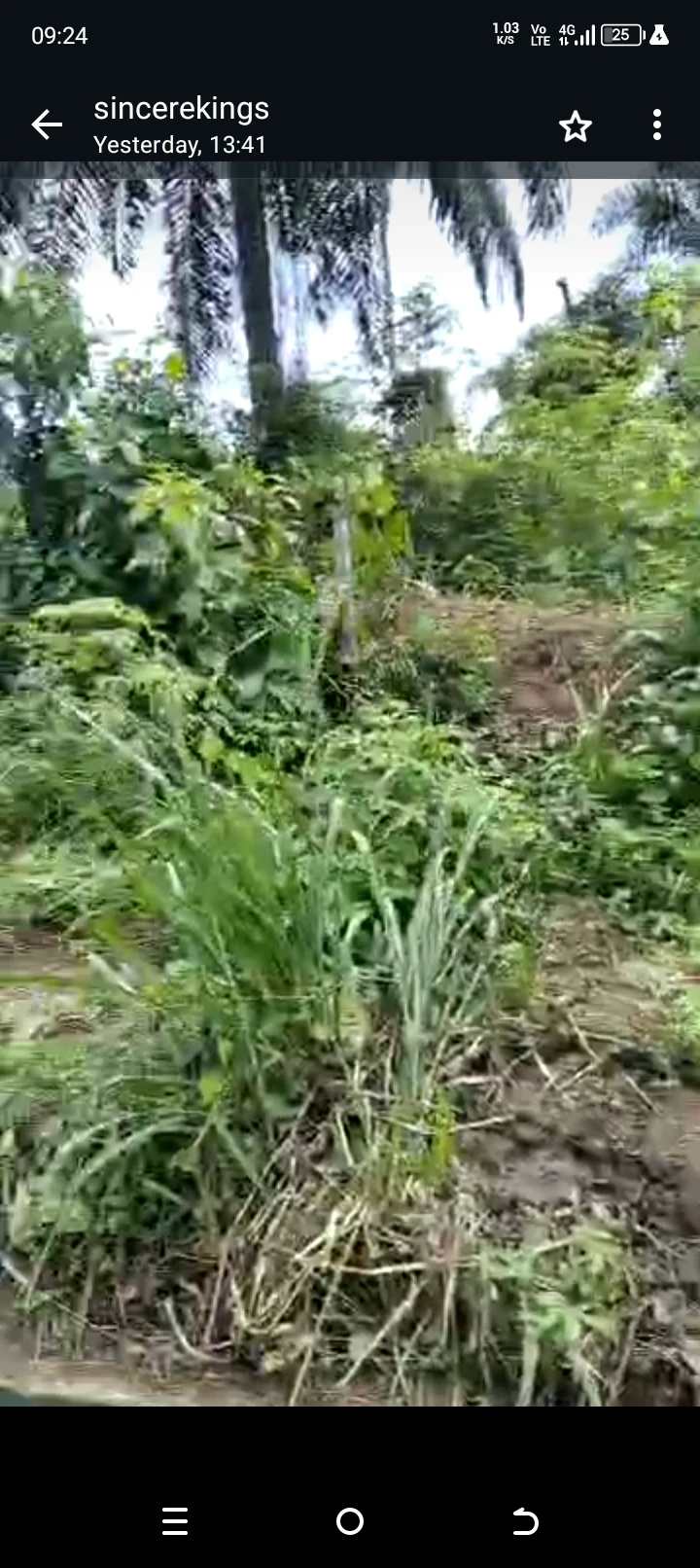 Land for Sale in Ediene ikot obio,off idoro road by pepsi, Akwa Ibom - Image 2