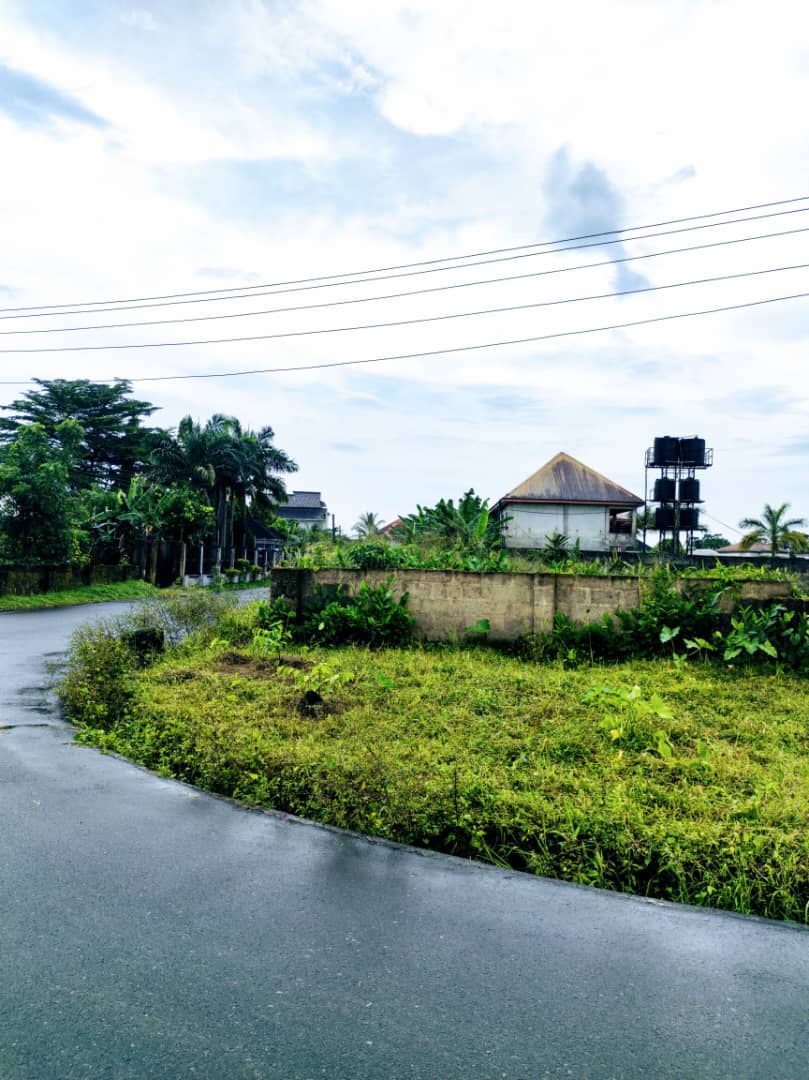 Land for Sale in Osongama Housing estate, Akwa Ibom - Image 1
